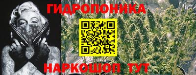 дмт Краснокаменск