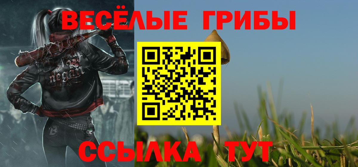 Ишимбай  Галлюциногенные грибы Magic Shrooms  что такое наркотик  Вход с VPN 